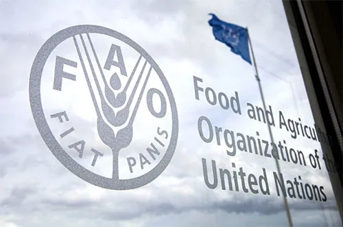 FAO advierte que es "imposible" resolver la seguridad alimentaria en escenarios sin paz