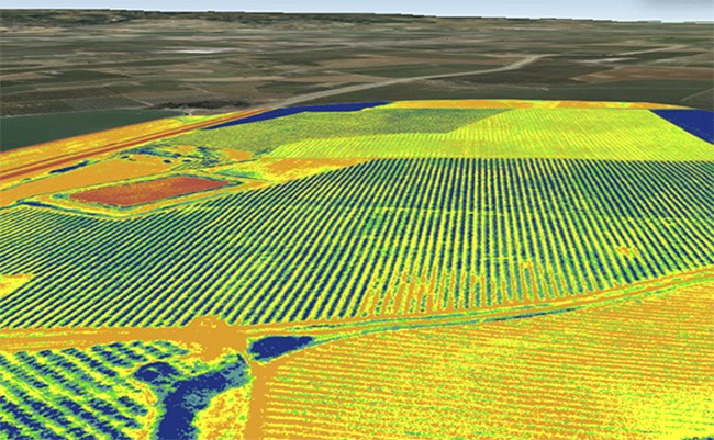 Agricultura De Precision Mapa De Dron W