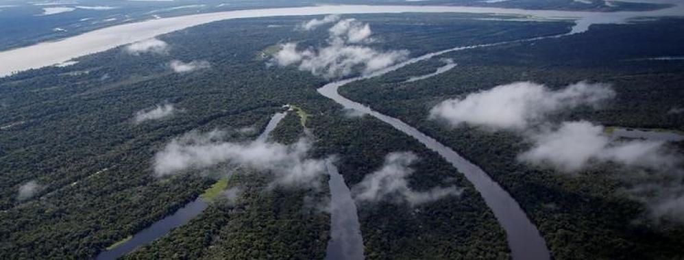 Brasil Amazonia 3