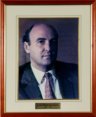 Carlos Pérez del Castillo