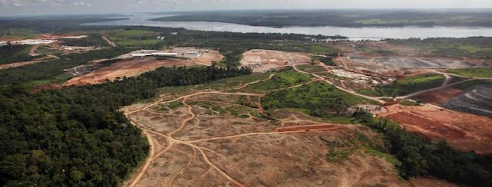 Amnistía Internacional alerta del saqueo ilegal de tierras indígenas en el Amazonas de Brasil