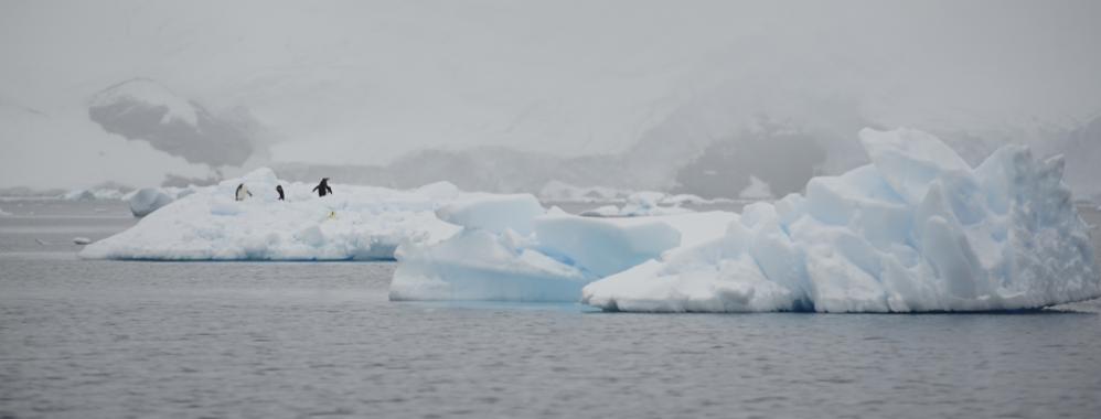 Calentamiento global está causando un derretimiento "irreversible" del hielo antártico, advierte científica