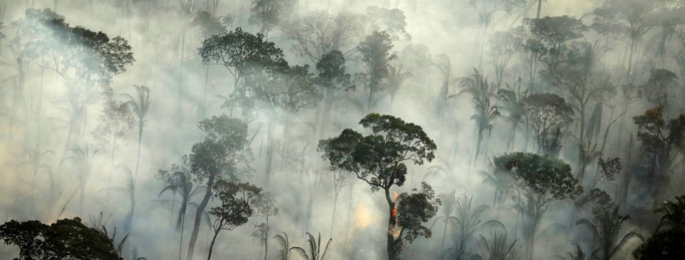 Presidente Bolsonaro extiende el despliegue de tropas para frenar la deforestación de la Amazonía