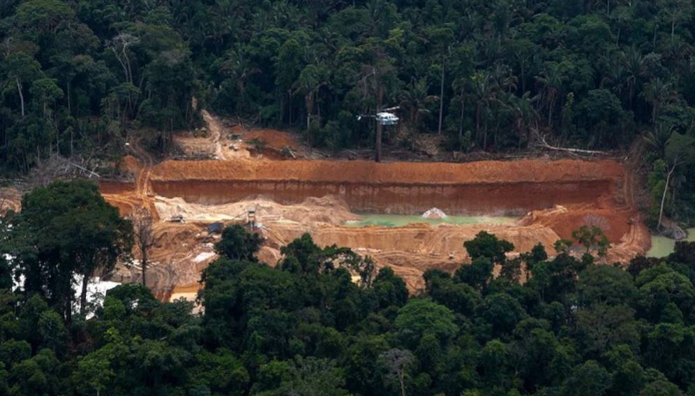 El mundo pierde sus bosques aceleradamente