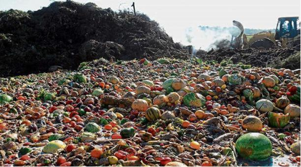 La FAO busca reducir la pérdida y el desperdicio de alimentos