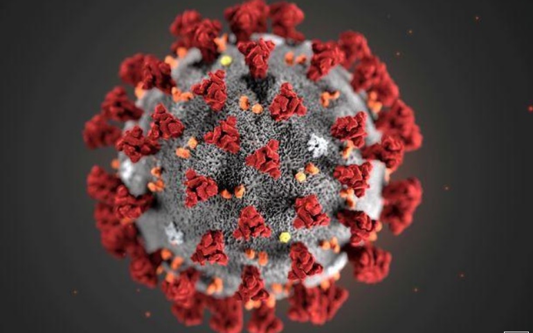 Se reporta primer caso de la variante brasileña del coronavirus en EE. UU.