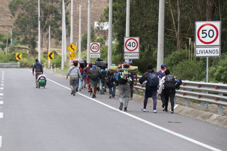Programa Migrantes Regulares legalizó a 690 venezolanos en Perú