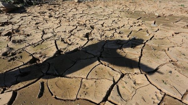 Chile analiza decretar emergencia agrícola por crisis hídrica