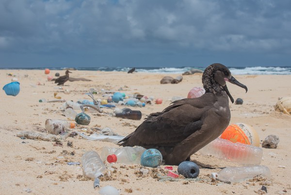 ONU aprueba primer tratado internacional jurídicamente vinculante contra la contaminación por plásticos