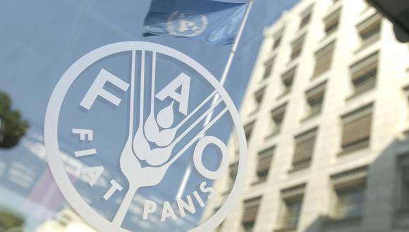 FAO registra precio estable de los alimentos en noviembre