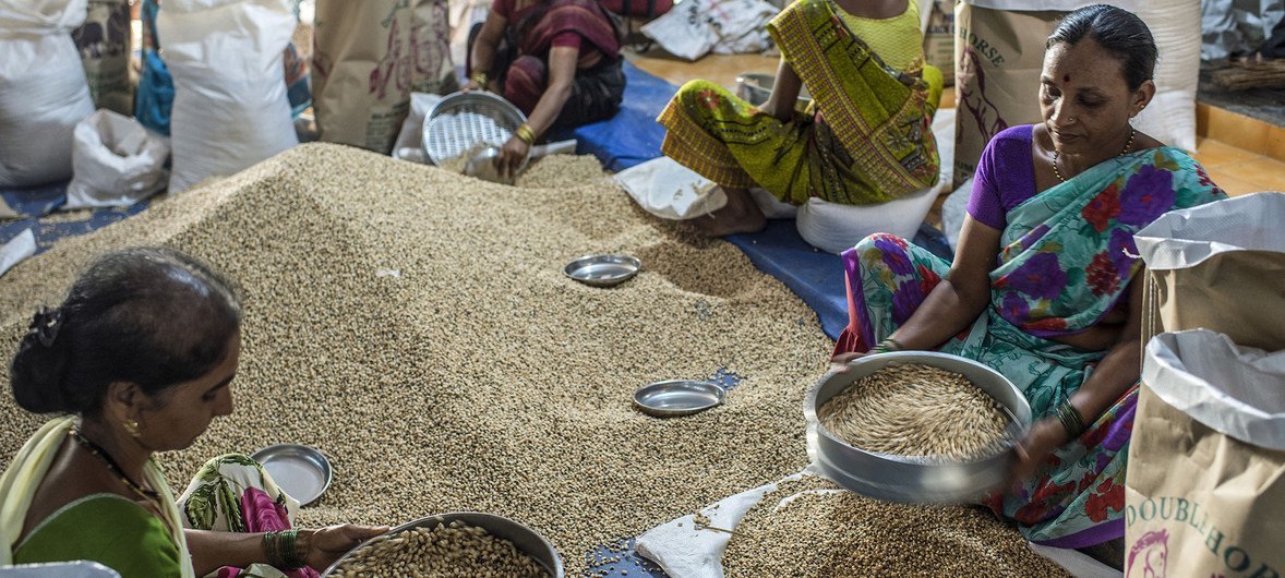 FAO advierte sobre impacto de precios de alimentos para países