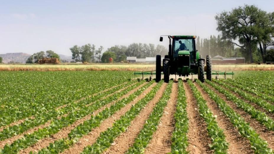 Altos precios y escasez de insumos preocupan a sector agrícola de América