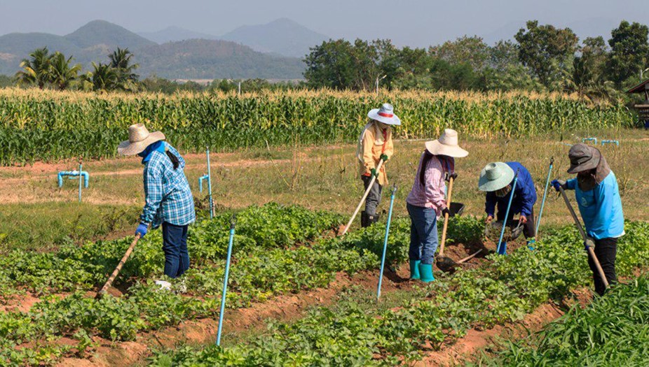 Contra el cambio climático: América Latina presenta iniciativa para ‘salvar’ la agricultura