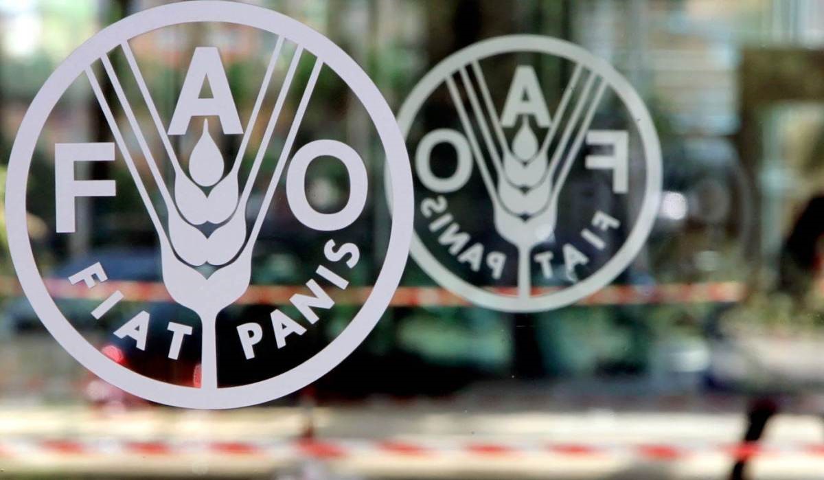 FAO quiere convertir Corredor Seco Centroamericano en zona de "oportunidades"