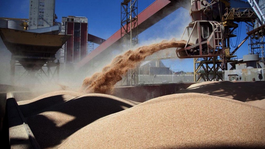 Las exportaciones de granos en Argentina podrían superar un "hito histórico" de US$ 40.500 millones