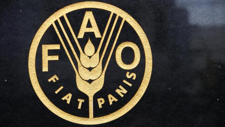 FAO propone cambios en sistemas agroalimentarios