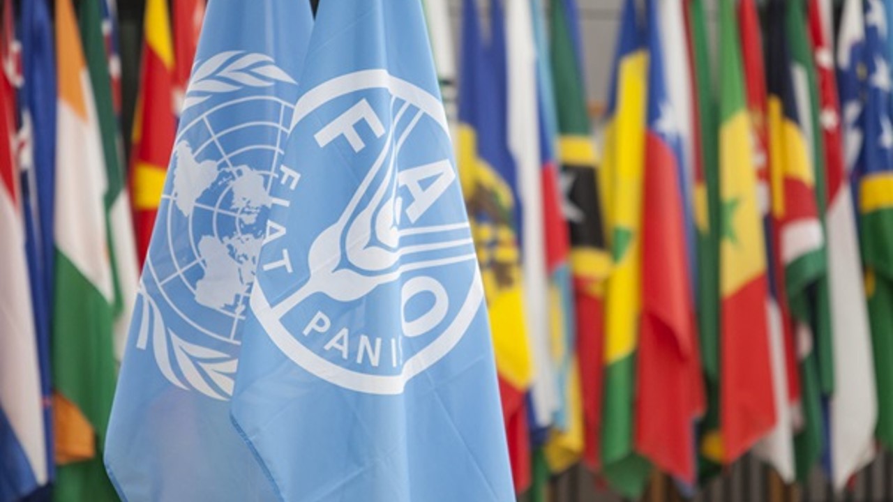 La FAO estará presente por primera vez en la COP27 con un pabellón oficial