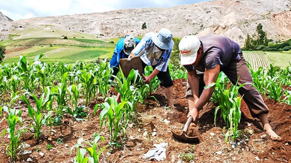 IICA resalta papel de productores agrícolas para combatir la crisis climática