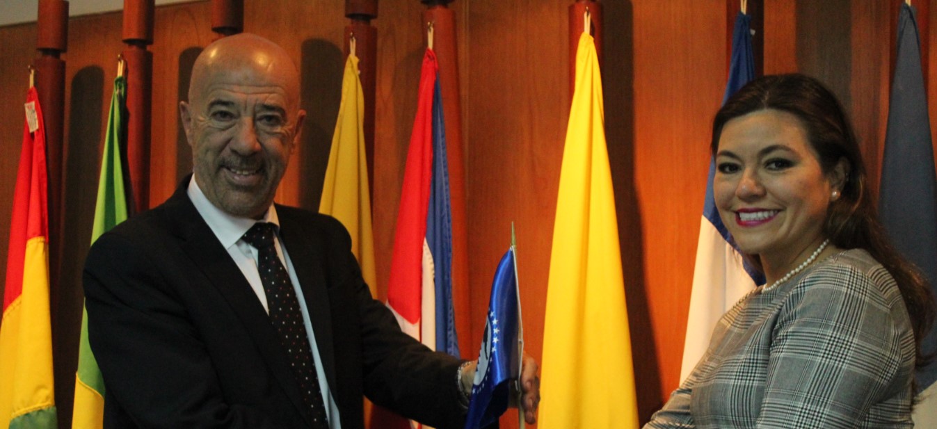 Argentina assumed chairmanship of the Latin American Council of SELA