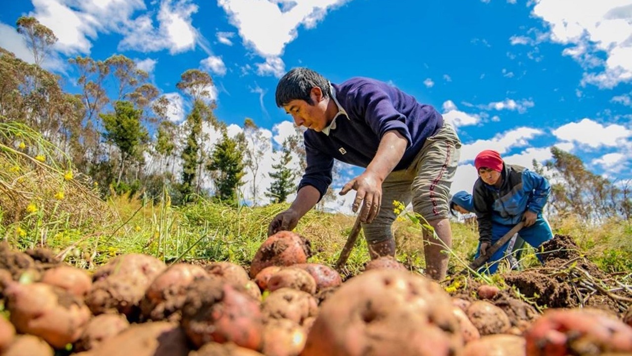 Expertos piden más inversión tecnológica en agricultura en Latinoamérica