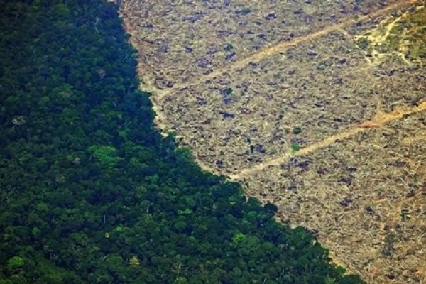 Países amazónicos plantean la deforestación cero en 2030