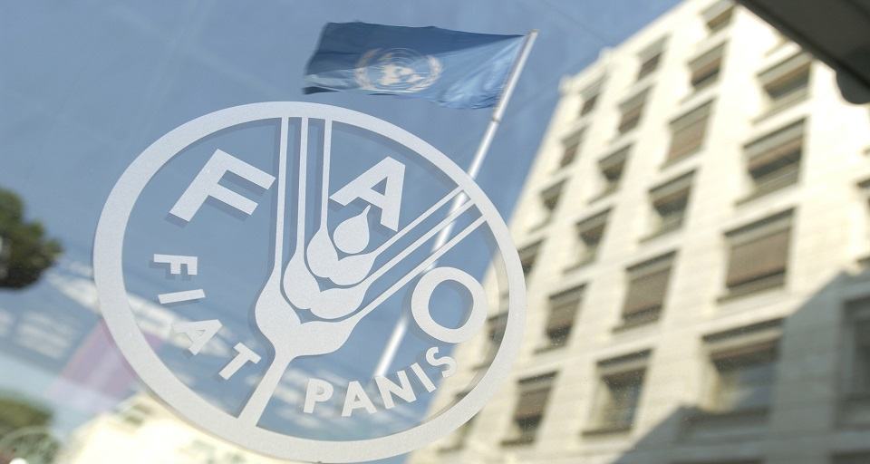 La FAO y Brasil firman acuerdos para mejorar la cooperación en agricultura