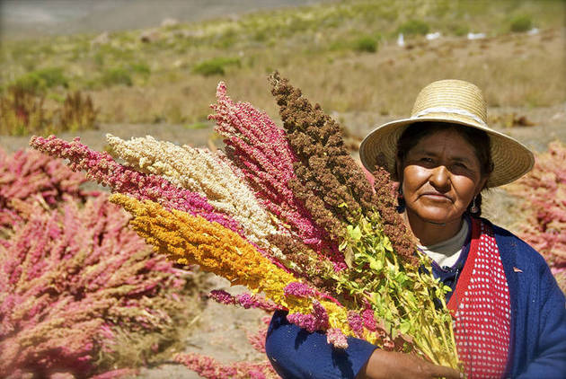 La FAO, ONU Mujeres y el UNFPA han formulado conjuntamente una estrategia para promover los derechos de las mujeres en las zonas rurales de toda América Latina y el Caribe