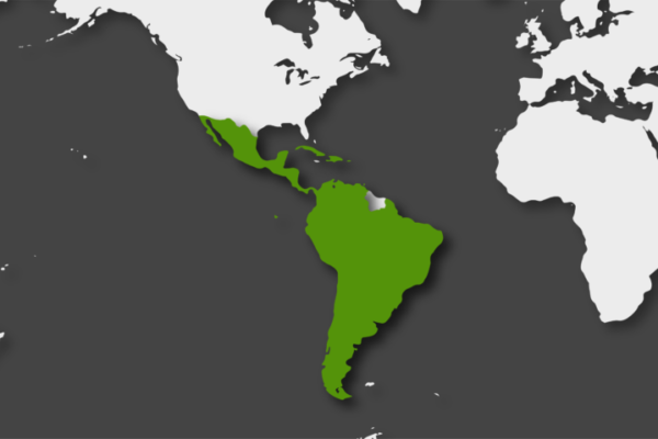 La AIE: Latinoamérica puede cubrir toda su demanda energética para 2030 con renovables
