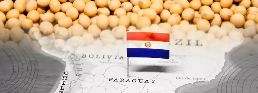Exportaciones de Paraguay crecen 23,6 % interanual hasta octubre, según informe de banco central