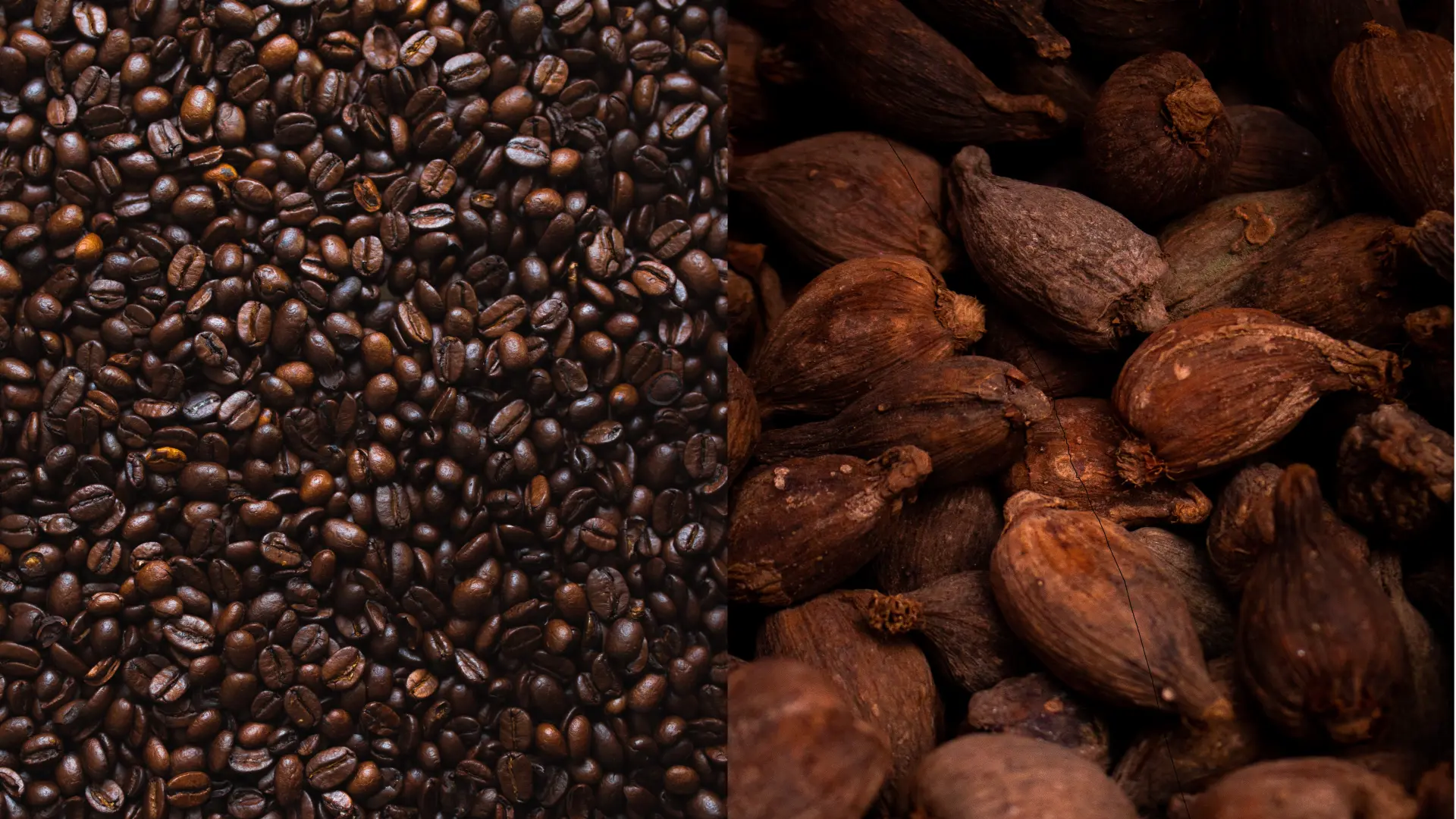 SELA addresses new EU regulation on cocoa and coffee imports