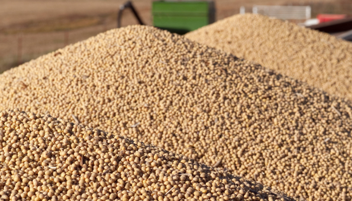 Brasil registra récord en las exportaciones de soja en el primer trimestre