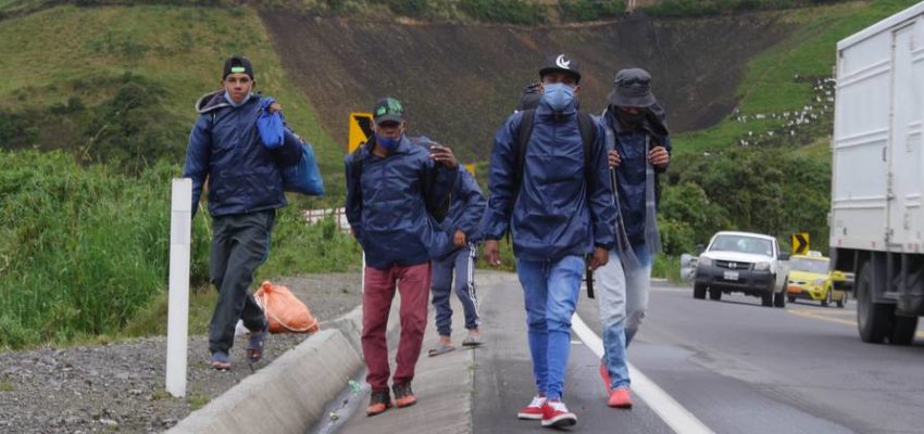 Acnur y OIM: Ecuador y Colombia dan signos alentadores hacia la integración de los migrantes venezolanos