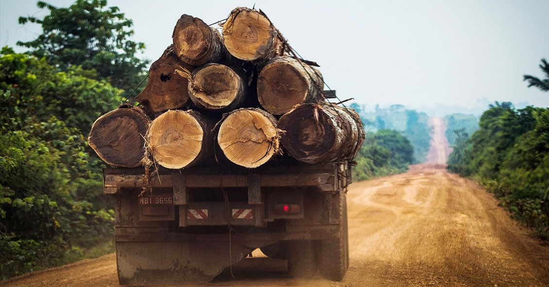 Gobierno brasileño reitera su compromiso de acabar con la tala ilegal en 2028