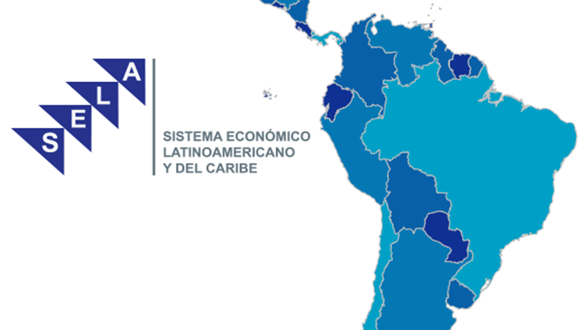 Reunión preparatoria del Consejo Latinoamericano discute agenda plurianual del organismo