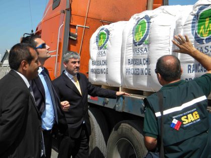 Chile: Exportaciones de hortalizas presentan alza de 11,3% en 11 meses de 2022