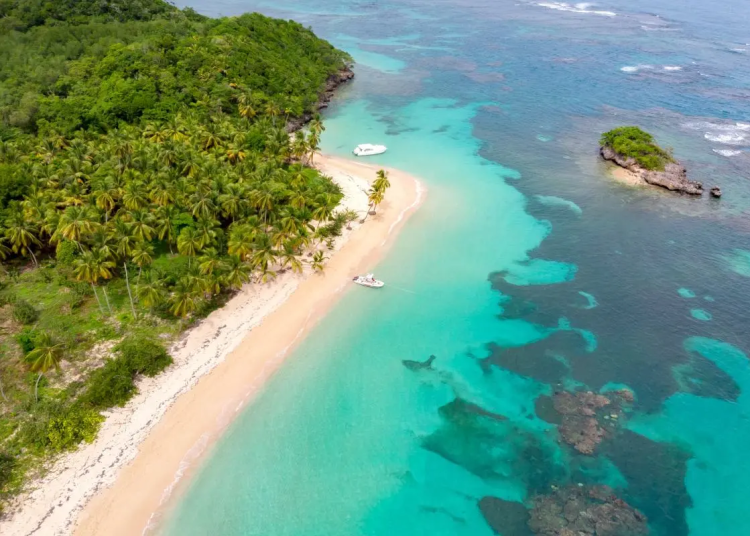 República Dominicana crece por encima del promedio mundial en turismo, según la OMT