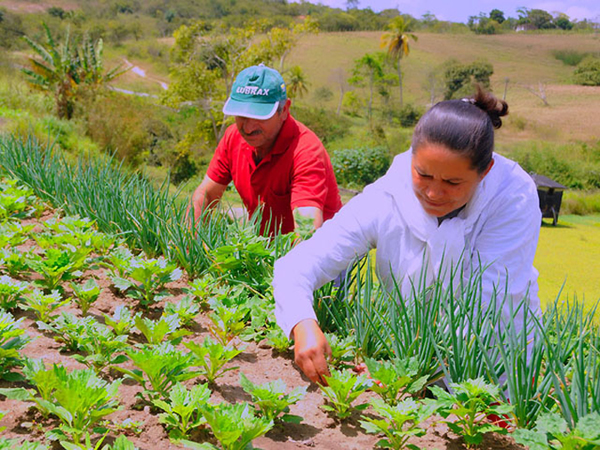 Parlamentarios de Latinoamérica piden impulsar agricultura familiar para combatir hambre