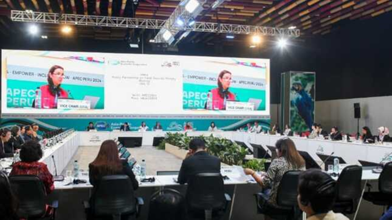 Perú participa en Plan de trabajo de subforo de APEC