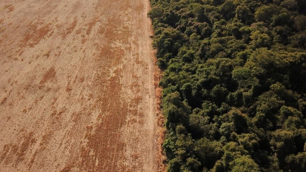 Unión Europea y países de la Amazonía trazan líneas de acción para combatir deforestación
