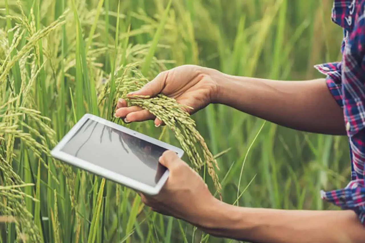 Foto de SELA y FAO promueven la modernización agrícola con biotecnología y agricultura de precisión en América Latina y el Caribe